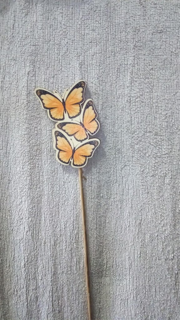 Foto 5 adornos mariposa