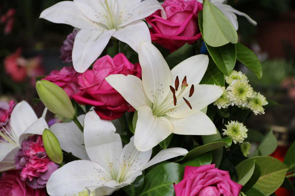 La calidad de nuestras flores